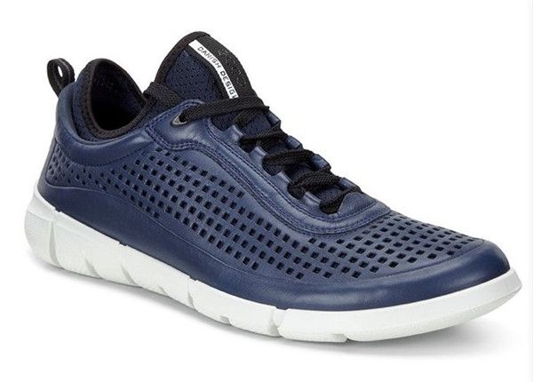 Ecco intrinsic navy shop