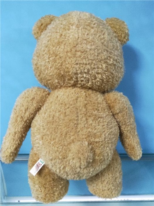 Ted 24