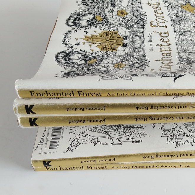 Enchanted Forest: An Inky Quest And Coloring Book By Johanna Basford 2015 Edition On 100outlets.com Enchanted Forest: An Inky Quest And Coloring Book By Johanna Basford 2015 Edition On 100outlets.com