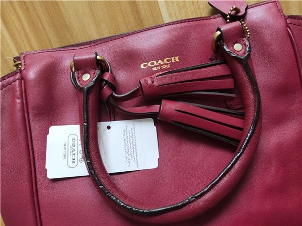 Coach mini sales tanner crossbody bag