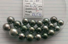 Lot 21 Tahiti Tahitian cultured black pearls size 10-14.5mm, OV-BT, Grade A $260/pc