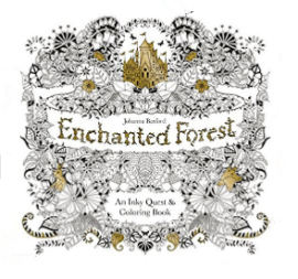 Enchanted Forest: An Inky Quest and Coloring Book by Johanna Basford 2015 edition