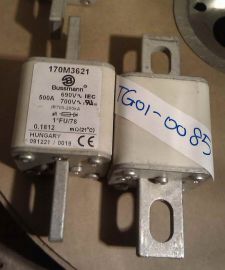 Cooper Bussmann 170M3621 Fuse Square Body 500A 690V 2-Pin Flat Bolt Carton 