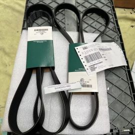 INTERNATIONAL belt 3664150C1