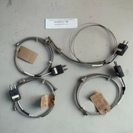 Thermo Sensor Gmbh COTESA-11P Bajonett TE Typ J-6.0mm-1000mm-CL1