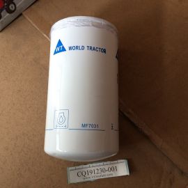 WORLD TRACTOR MF7031 OEM Oil Filter 2654407 for Perkins engines