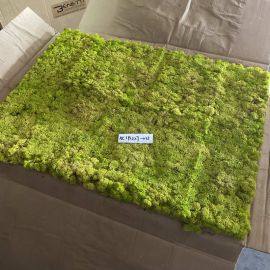 Benetti Stone Philosophy Moss Wall Tile 60cm x 80cm