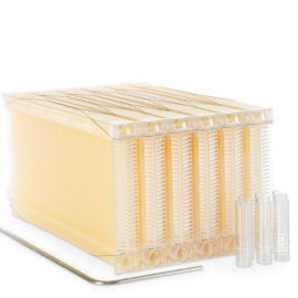 Hive Honey Flow Frames Classic 6 Frame