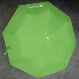 Green Umbrella for HP care pack Giftware