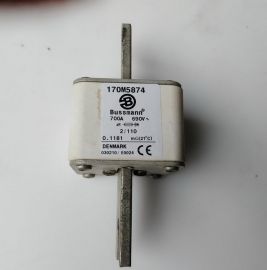 Cooper Bussmann 170M5874 Fuse 700A 690V