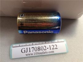 Panasonic EVOLTA LR20EG 1.5V Alkaline Power Battery