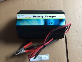 Ting En TEC-30A Car Battery Charger