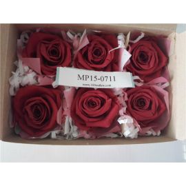 Verdissimo Cranberry Rose Heads RST2240 SET OF 6 HEADS STANDARD