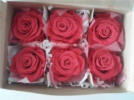 Verdissimo Dark Pink Rose Heads RST2149 SET OF 6 HEADS STANDARD