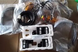 a batch DELPHI AUTOMOTIVE ELECTRONIC MODULES RXG24-100W-2ROF 