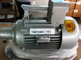 ZX50 Y90L-2 3.0KW External concrete vibrator drived by electric motor 