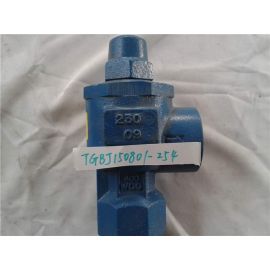 BLACKMER BYPASS VALVE BV1.5