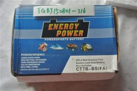 ENERGY POWER VRLA Maintenance Free Sealed Lead Acid Battery Non-Spillable CT7B-BS