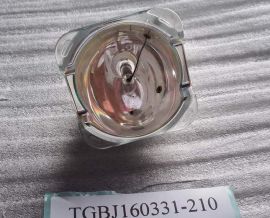 YODN MSD 300R15 Lamp 