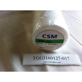 woongjin Chemical CSM FILTER DP-01 1 micron DP01A2