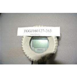 Vortex Flowmeter HHWJ-X40A102CW 24V