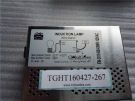 Induction Lamp eco WATT Ballast Driver by Global Green Energy saver EW-3010-BB-65WB-120VAC