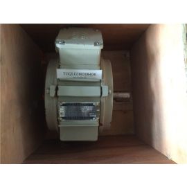 SINO Three-phase asynchronous motor YF132S-10 