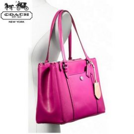 COACH F25669  PEYTON LEATHER JORDAN DOUBLE ZIP CARRYALL