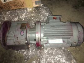 DOFINE RF37-P1.5-5.06-M4 Gear Motor W/WANNAN WNM HIGH EFFICIENCY INDUCTION MOTOR YX3-90L-4